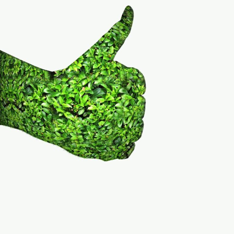 Kolonihaveforeningens årlige havesyn