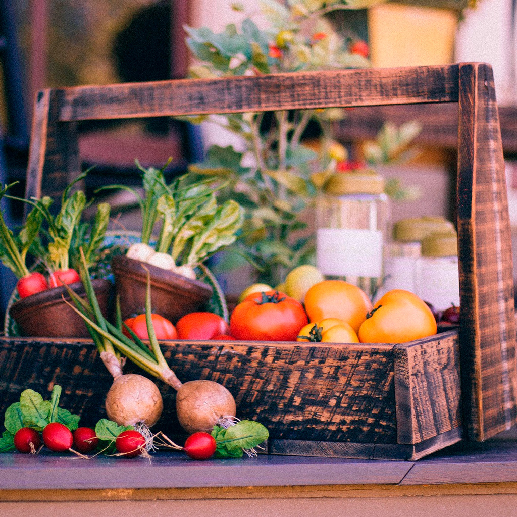 Kolonihave høstfest 2025